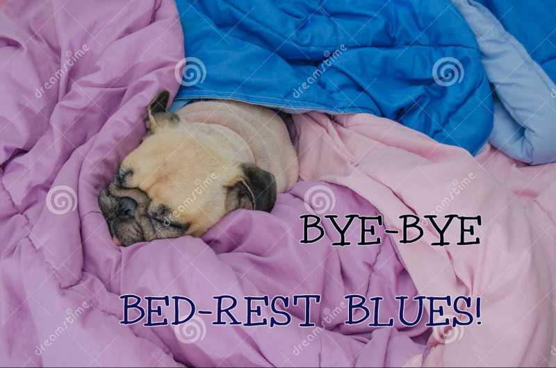 Bye-Bye Bed Rest Blues