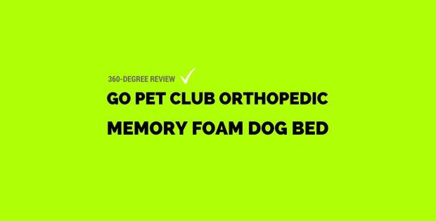 Can Orthopedic Memory Foam Dog Bed Make You Happy?