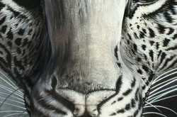 Can u spot the woman?