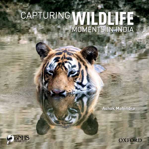 Capturing Wildlife Moments In India