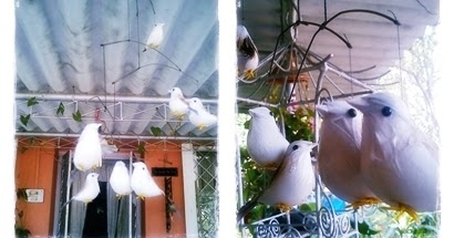 Cats Are Silly (and Moms Are Weird)