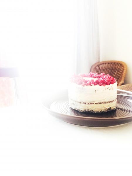 Chocolate Almond Pomegranate Cake