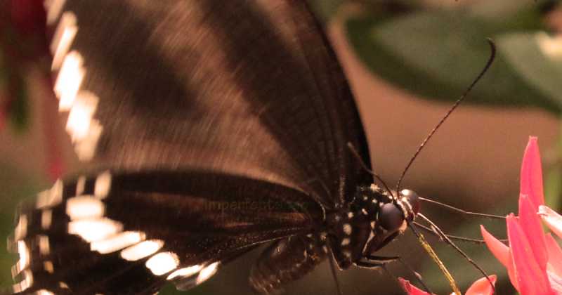 Close Up And Personal!