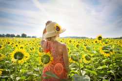 Colour, Shape, Space, Light - Crafting the Components of Art Work - Makeup & Breakup