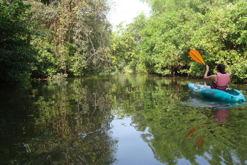 Come And Party To Your Heart’s Content -  Best Things To Do In Goa!