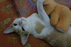 Conversations at Midnight, With a Fiercely Independent Woman