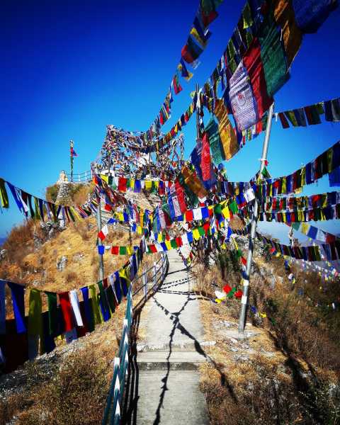 Cracking Indian Forest Service Examination