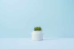 Creative Multipurpose WordPress Theme - Digital Sensus - Umbraco