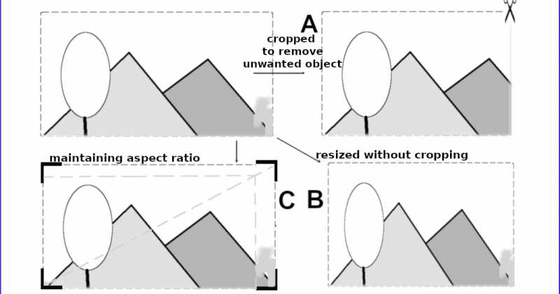 Crop: The Easiest Picture Editing Action That You Might Be Doing Wrongly!