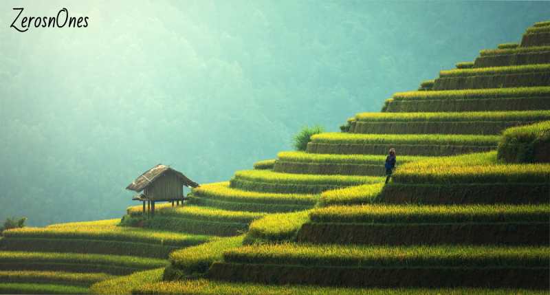 Cumulative Distribution Function - Formula, Properties, Differences