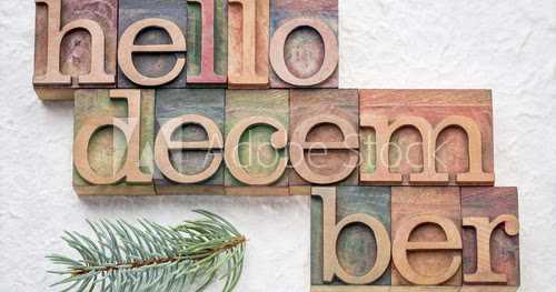 DECEMBER - A MONTH TO FALL IN LOVE WITH NATURE