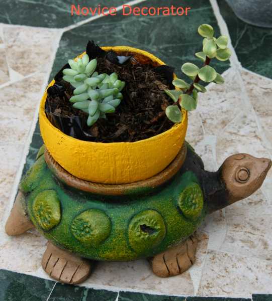 DIY: Recycled Planter