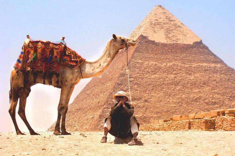 Desert Survival: Simple Tips That Could Save Your Life