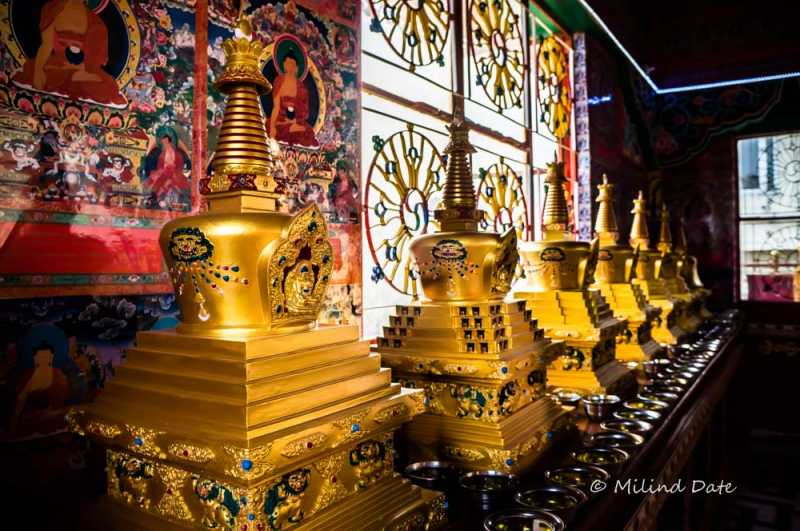 Dharmashala Portraits Etc