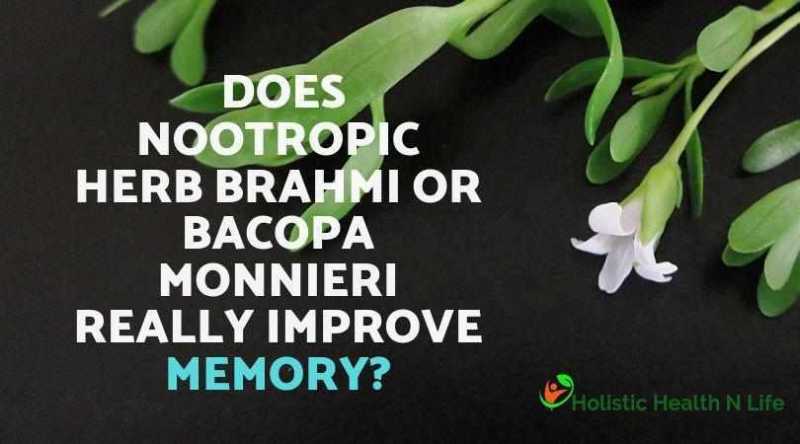 Does Nootropic Herb Brahmi Or Bacopa Monnieri Really Improve Memory?