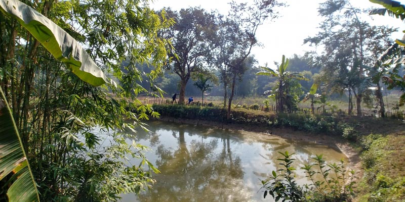 Don’t We All Miss Home?