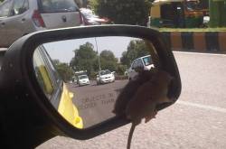 Driving Adventures - Part VI