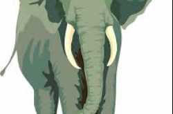 Elephant and the Rope - StoryTeller