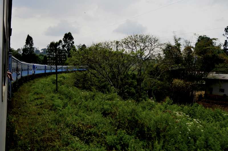 Ella: A Photographer’s Paradise & Writer’s Muse