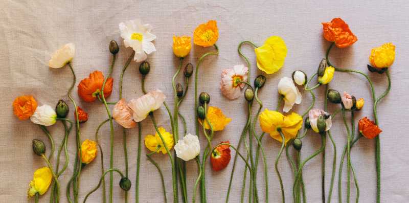 Embracing Your Imperfections!