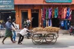 En Inde, le travail des enfants reste une histoire de famille