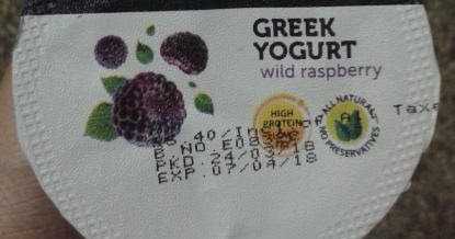 Epigamia Greek Yogurt Wild Raspberry