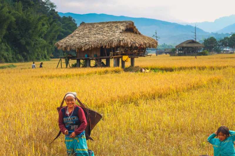 Everything That You Need To Know About Basar Confluence - Life And Its Experiments