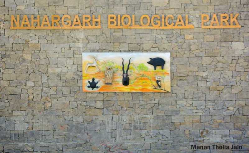 Exotic Animal Park At Nahargarh Biological Will Start From July In Monsoon - Beautiful Jaipur