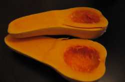 Experiments with butternut squash
