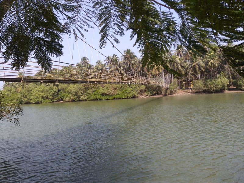 Exploring The Backwaters Of Karnataka- Thonse