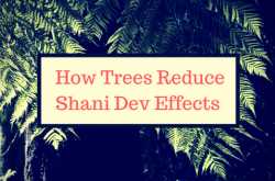 Expose How To - जानिए हिंदी में | Life Style | Health & Wellness | Home Remedies: होगी धन की वर्षा, जब होगा शनि देव का प्रकोप कम- जानिए कैसे?