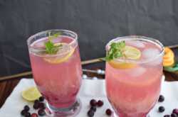 Falsa or Phalsa Sharbat