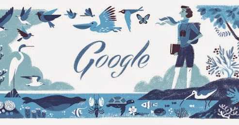 Fashion With A Conscience