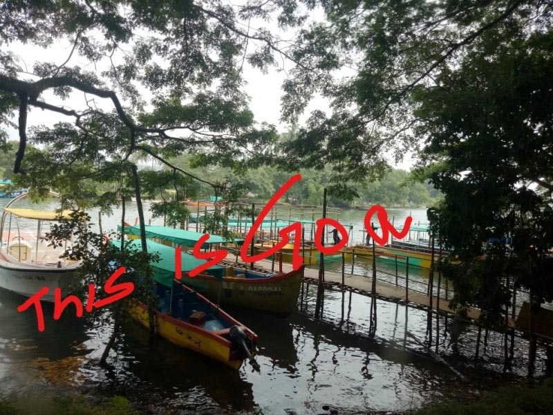 Finally We Landed In Goa - Wildtravellers.in