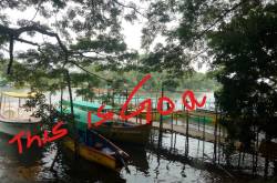 Finally we landed in Goa - Wildtravellers.in