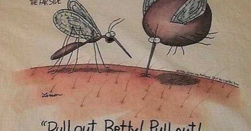 Find Who Am I     #WOW Prompt 