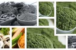 Finding Wholesale Kratom Prices Is Easier Than You Think