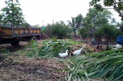 Finding a home away from home…