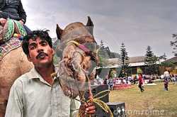 First Editorial at Dreamstime 