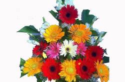 Flower Delivery in Mumbai- A way to send lovely wishes