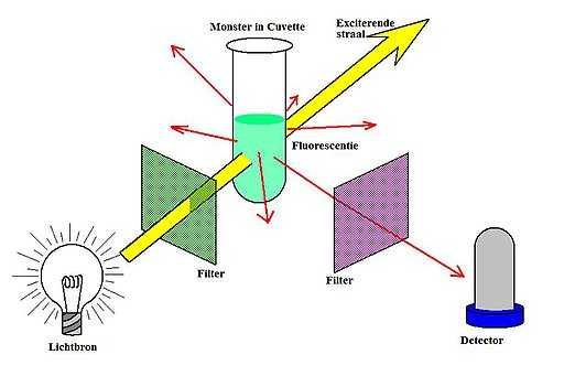 Fluorescence Spectroscopy Principle, Instrumentation And Applications