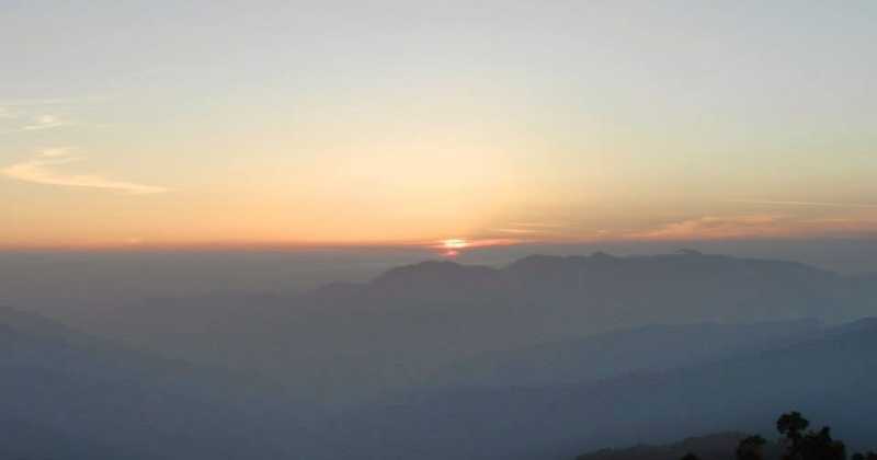 For The Love Of Nature