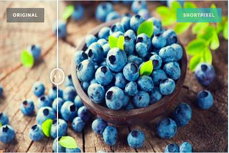 Free Image Optimizer To Speed Up Your Business Website | Business Meg