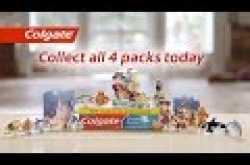 Friendship with Sea Animals 