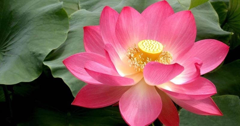 Give The Women The Care And Respect They Deserve