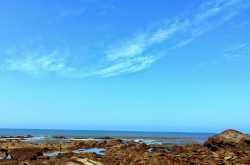 Goa...Yes Its crazy!