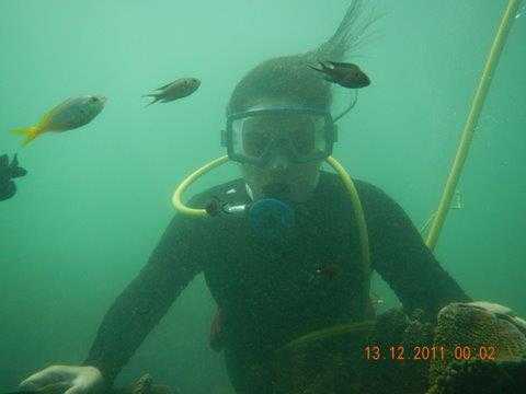 Going Against The Basic Instincts - Scuba Diving Tarkarli