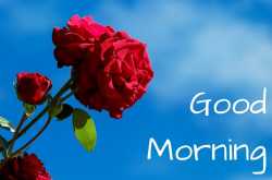 Good Morning Images With Quotes 2019 - TechZila