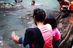 Grandparents – Life and Lemon Bits