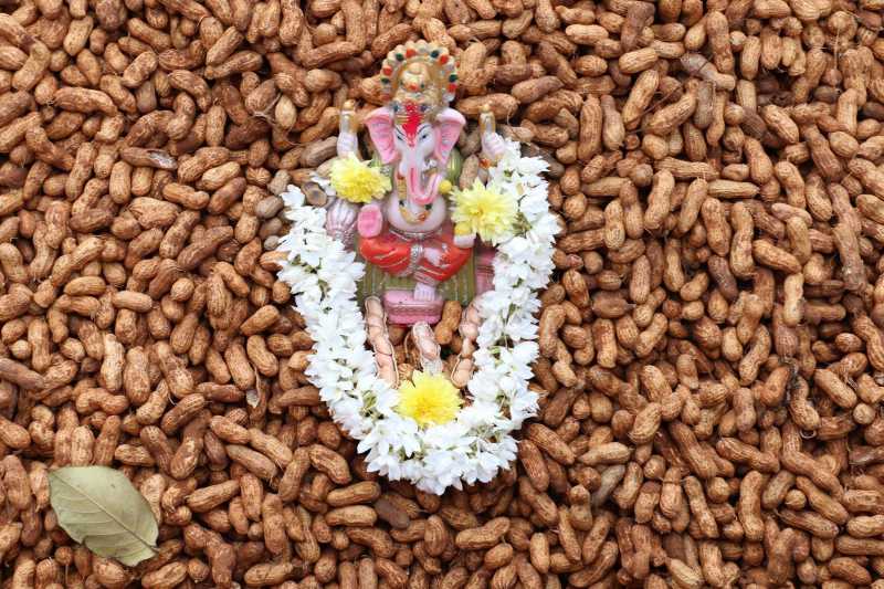 Groundnut Festival In Bull Temple Road, Bangalore 2018 - I Share